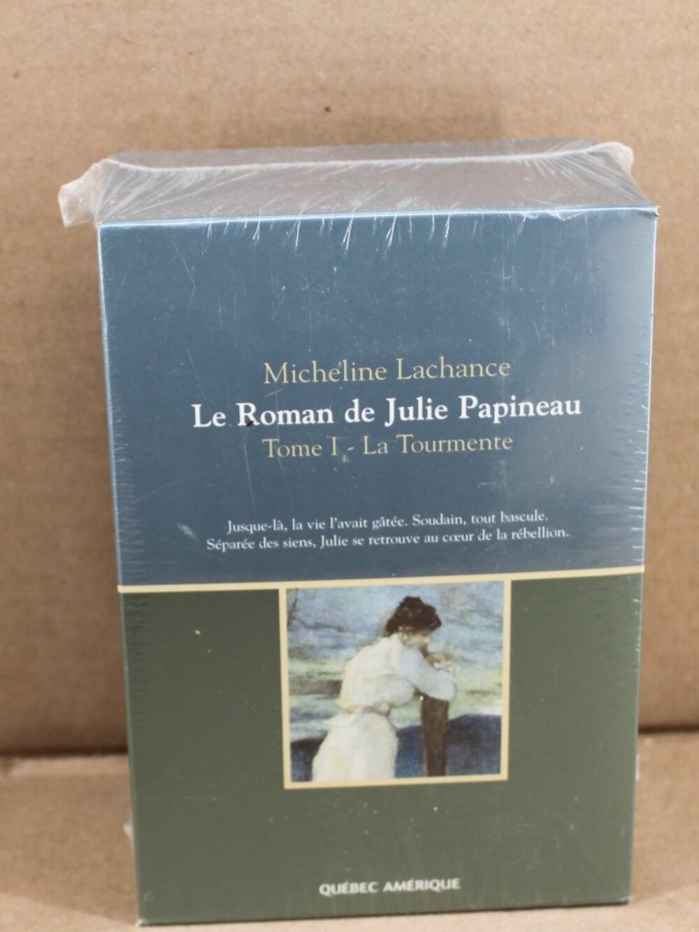 Lot 2 Livres Micheline Lachance - Le Roman De Julie Papineau French Brand New